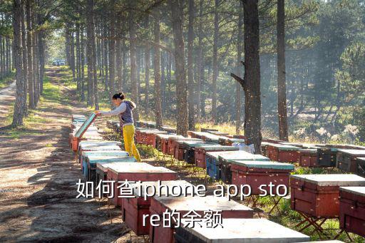 如何查iphone app store的余額