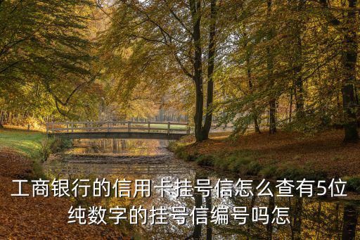 工商銀行的信用卡掛號信怎么查有5位純數(shù)字的掛號信編號嗎怎