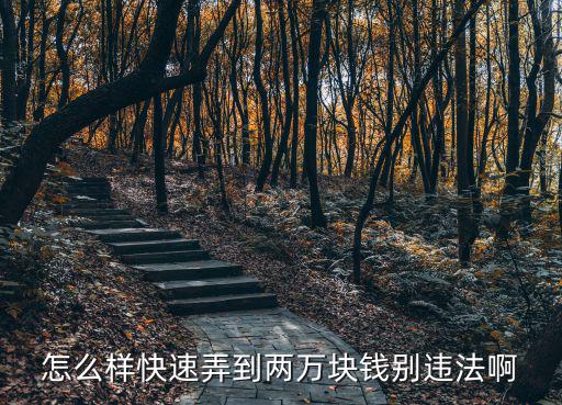 怎么樣快速弄到兩萬塊錢別違法啊