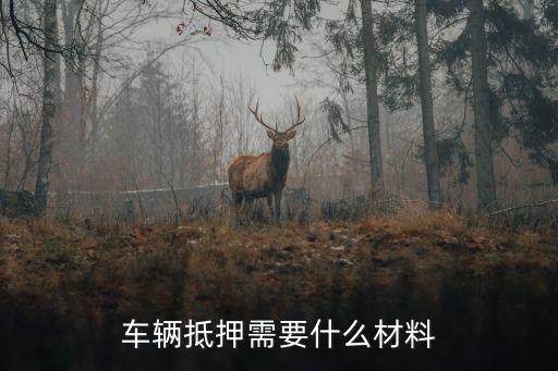 新車(chē)抵押手續(xù)怎么辦理，我的汽車(chē)想做抵押貸款如何辦理