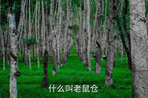 什么叫老鼠倉