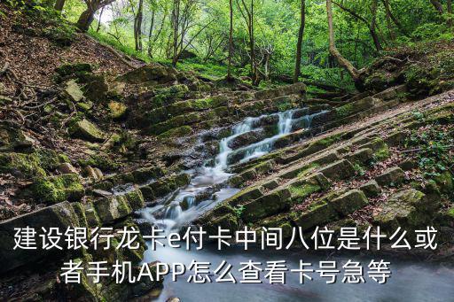龍卡e付卡怎么查詢卡號，建設銀行卡找不到了但是有e路通怎么能查出卡上的賬號  搜