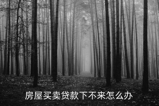 住房貸款下不來(lái)怎么辦，已付了房屋首付可是貸款卻辦不下來(lái)怎么辦啊