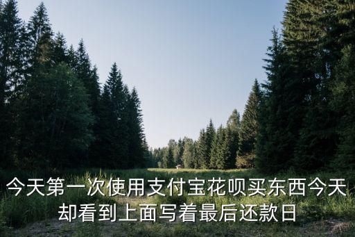 今天第一次使用支付寶花唄買東西今天卻看到上面寫著最后還款日