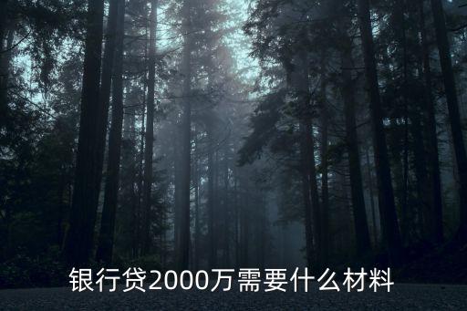 銀行貸2000萬需要什么材料