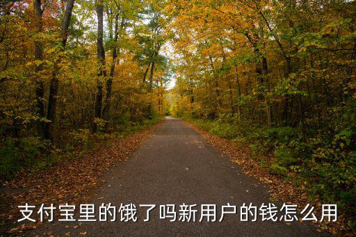 餓了嗎外賣怎么貸款，分期樂首單001在餓了么訂餐 怎么還款
