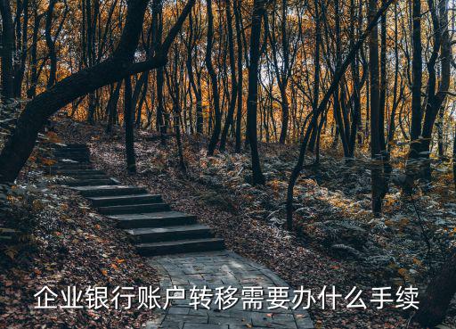 從公戶轉(zhuǎn)賬怎么辦理，怎樣才能從公帳轉(zhuǎn)到私人帳戶