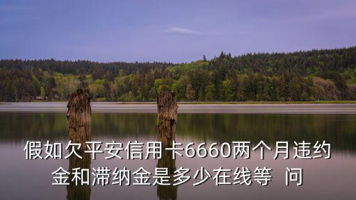假如欠平安信用卡6660兩個月違約金和滯納金是多少在線等  問