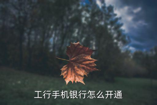 工行手機銀行怎么開通