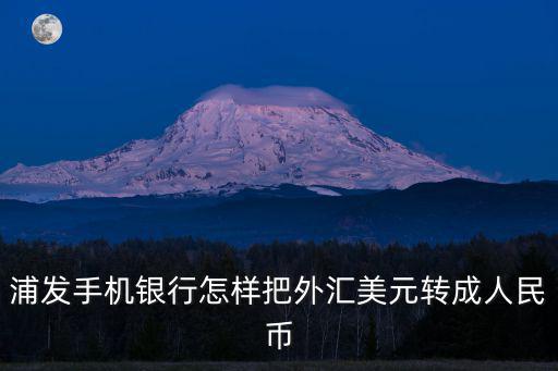 浦發(fā)手機(jī)銀行怎樣把外匯美元轉(zhuǎn)成人民幣