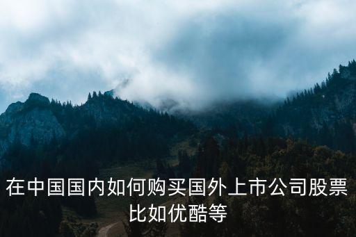 怎么買外國股票軟件嗎，在中國國內(nèi)如何購買國外上市公司股票比如優(yōu)酷等