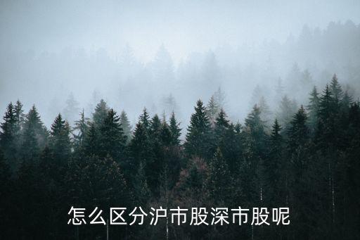 怎么區(qū)分滬市股深市股呢