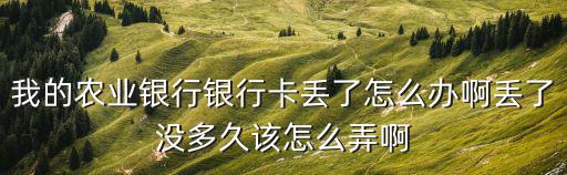 我的農(nóng)業(yè)銀行銀行卡丟了怎么辦啊丟了沒多久該怎么弄啊