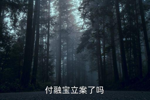 付融寶立案了嗎