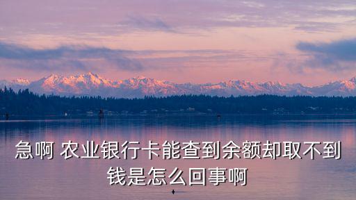 急啊 農(nóng)業(yè)銀行卡能查到余額卻取不到錢是怎么回事啊