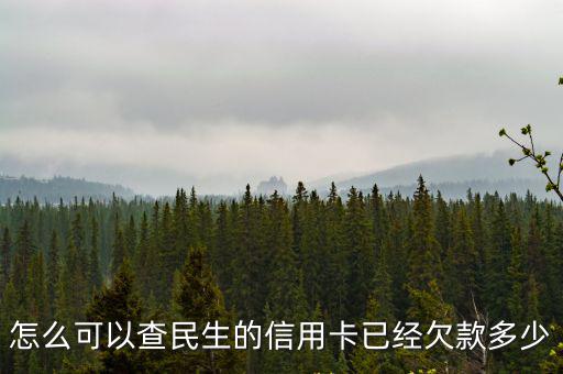 怎么可以查民生的信用卡已經(jīng)欠款多少