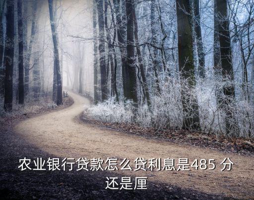 農(nóng)業(yè)銀行貸款怎么貸利息是485 分還是厘