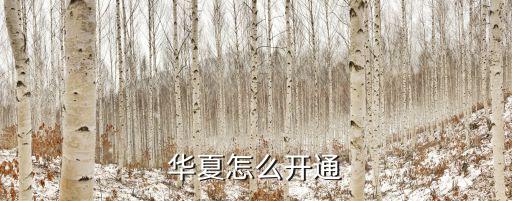 華夏怎么開(kāi)通