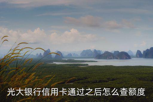 光大銀行信用卡通過之后怎么查額度