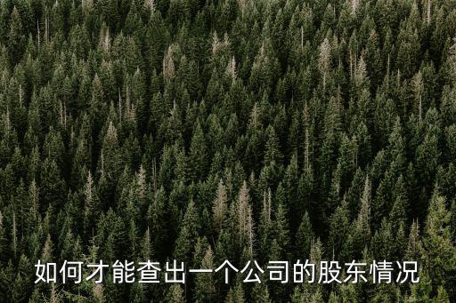 股票怎么查股東，上市公司股東名單怎么查