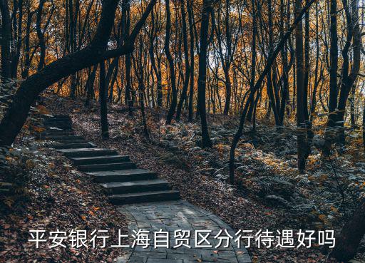平安銀行上海自貿(mào)區(qū)分行待遇好嗎
