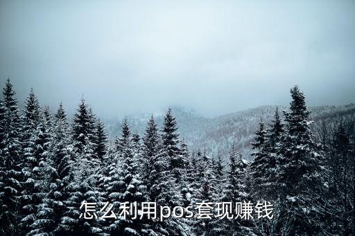 怎么利用pos套現(xiàn)賺錢