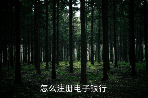 怎么注冊(cè)電子銀行