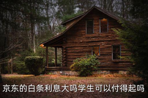 京東的白條利息大嗎學(xué)生可以付得起嗎