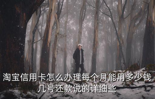 淘寶信用卡怎么辦理每個(gè)月能用多少錢(qián)幾號(hào)還款說(shuō)的詳細(xì)些