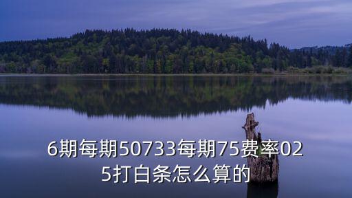 6期每期50733每期75費(fèi)率025打白條怎么算的