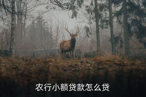 農(nóng)行小額貸款怎么貸