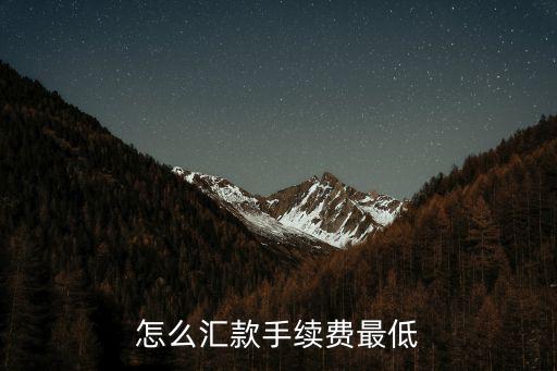 怎么匯款手續(xù)費(fèi)最低