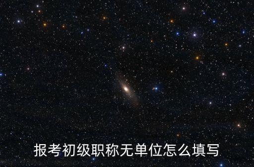 報(bào)考初級(jí)職稱無單位怎么填寫
