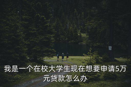 我是一個在校大學(xué)生現(xiàn)在想要申請5萬元貸款怎么辦