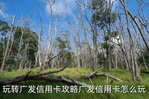 玩轉(zhuǎn)廣發(fā)信用卡攻略廣發(fā)信用卡怎么玩