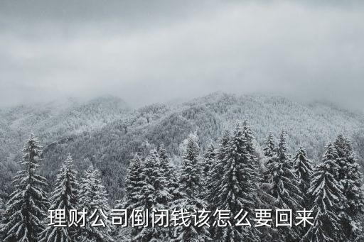 理財公司倒閉錢該怎么要回來