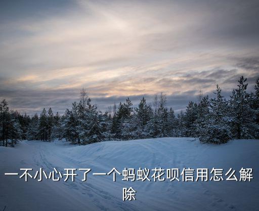一不小心開(kāi)了一個(gè)螞蟻花唄信用怎么解除