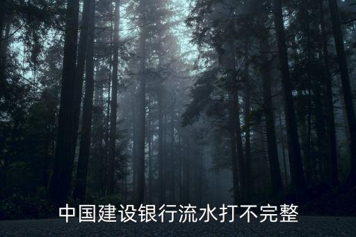 建行公賬流水怎么打，中國(guó)建設(shè)銀行流水打不完整