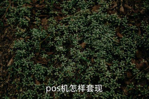 pos機怎樣套現(xiàn)