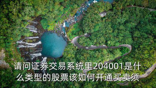 請問證券交易系統(tǒng)里204001是什么類型的股票該如何開通買賣須