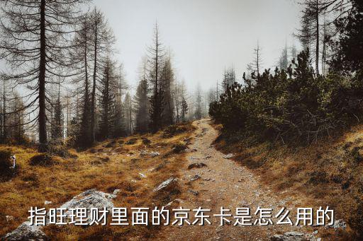 指旺理財里面的京東卡是怎么用的