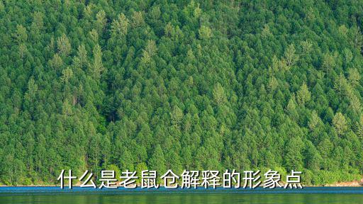 怎么分辨老鼠倉(cāng)基金，什么是老鼠倉(cāng)解釋的形象點(diǎn)