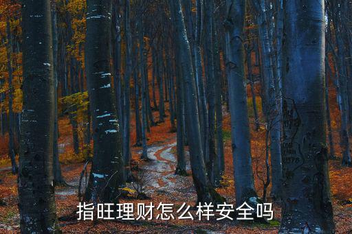 指旺理財怎么樣安全嗎