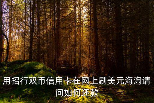 怎么微信購匯還款嗎，用招行雙幣信用卡在網(wǎng)上刷美元海淘請問如何還款