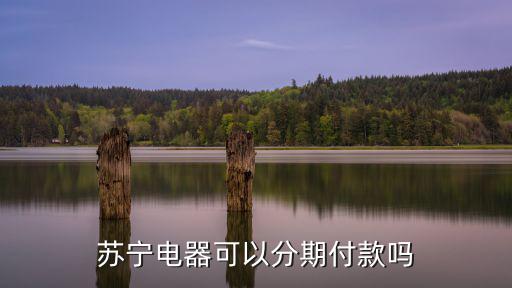 蘇寧電器可以分期付款嗎