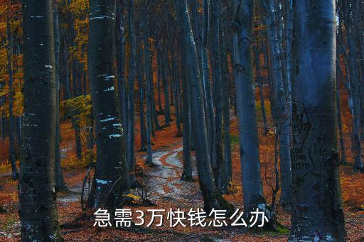 現(xiàn)在急需3萬怎么辦，急需3萬快錢怎么辦