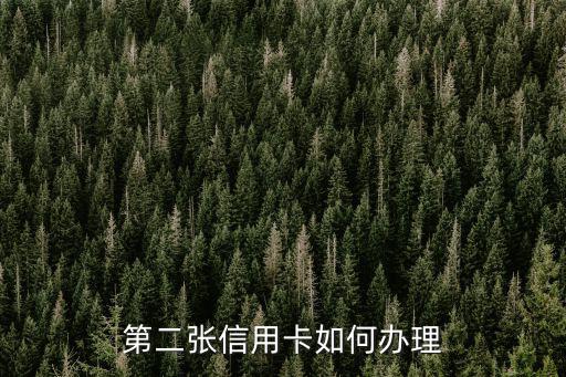 第二張信用卡如何辦理