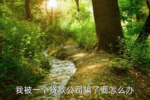 我被一個貸款公司騙了要怎么辦