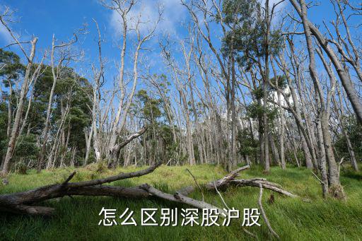 怎么區(qū)分深股和滬股，怎么區(qū)別深股滬股