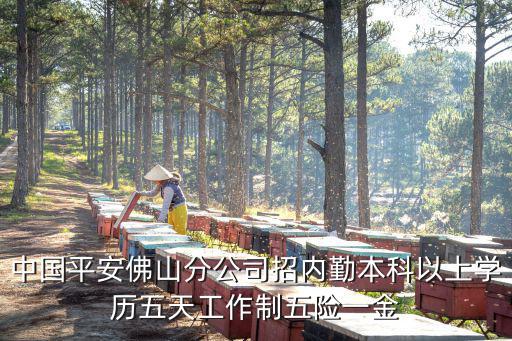 平安季度獎(jiǎng)怎么算，平安保險(xiǎn)的獎(jiǎng)金模式